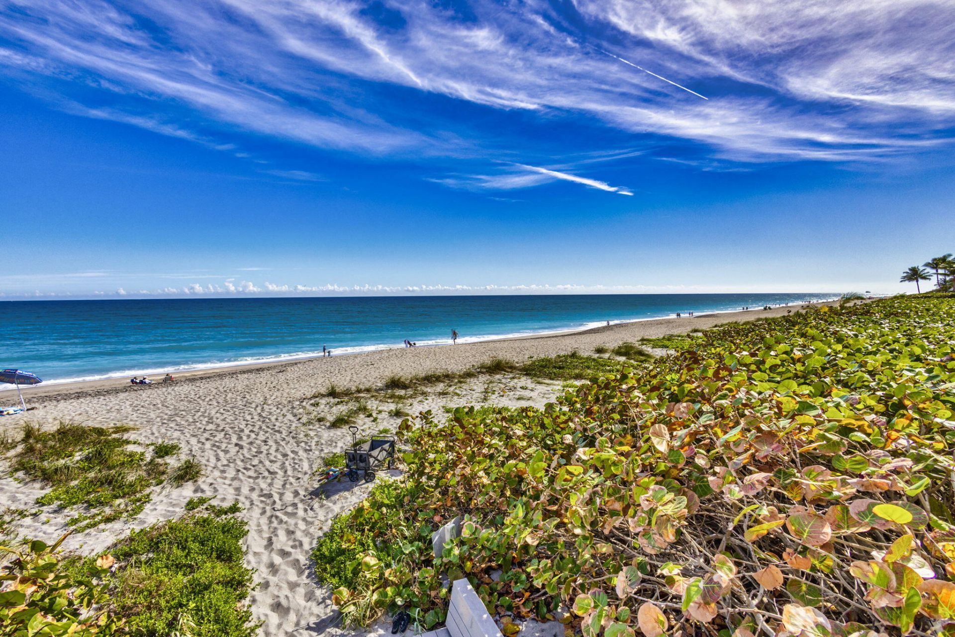 600 Ocean Drive, Unit 9A, Juno Beach, FL 33408 Photo