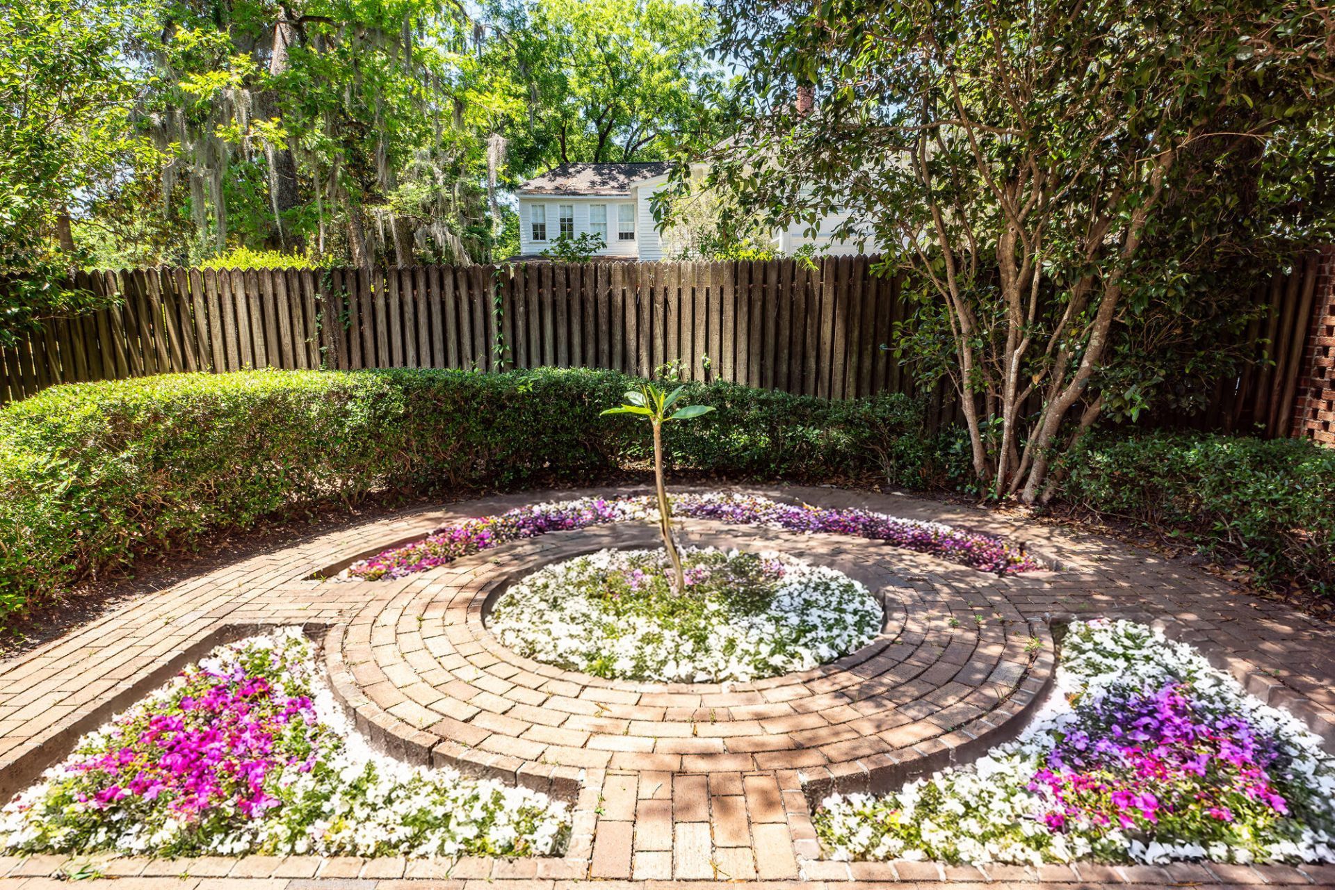 458 Hampton Street Photo 8