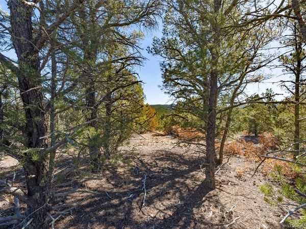 29870 County Rd 16 , Trinidad, CO 81082