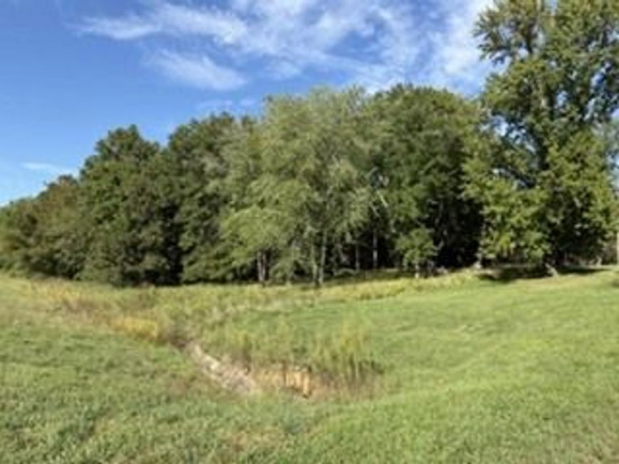 Main Photo