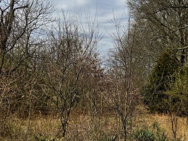 14000E Wheeler , Kankakee, IL 60901