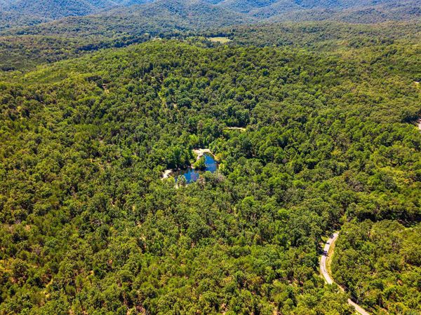 1499 Ollie Mountain Lane , Flippin, AR 72634