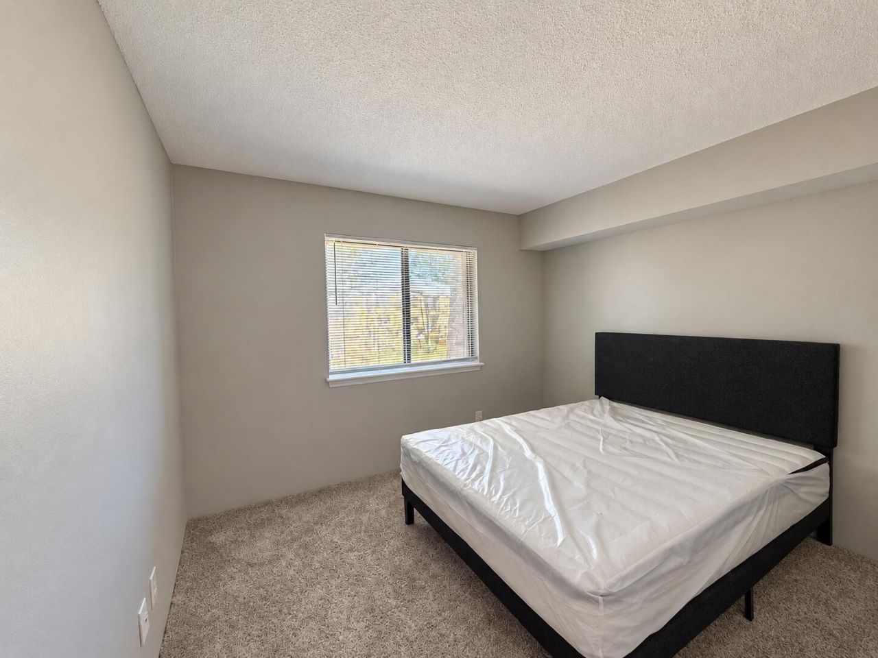 307 Menlo Drive Photo 5