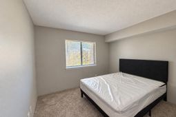 307 Menlo Drive photo 4