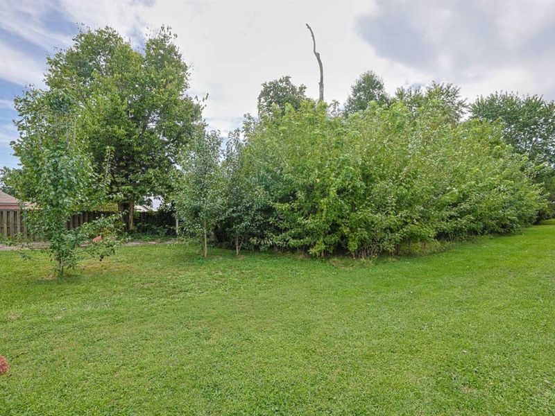 7611 Seward Avenue, Mount Healthy, OH 45231 Photo 28