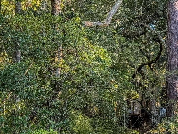 164 SE PELICAN RD, Branford, FL 32008