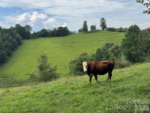 0 Union Hill Church Road , Green Mountain, NC 28740