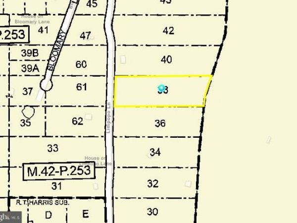 LIMPOPO LANE, MCHENRY, MD 21541