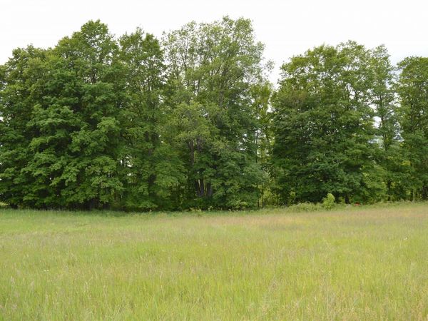 Summit City Road, Kingsley, MI 49649