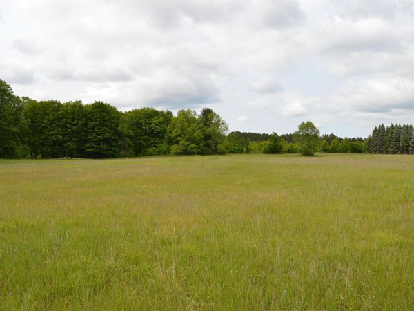 Summit City Road, Kingsley, MI 49649