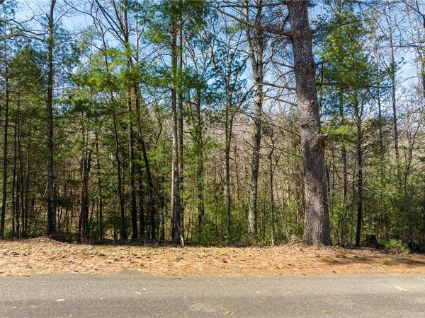 0 Shenendoa Drive , Ellijay, GA 30540