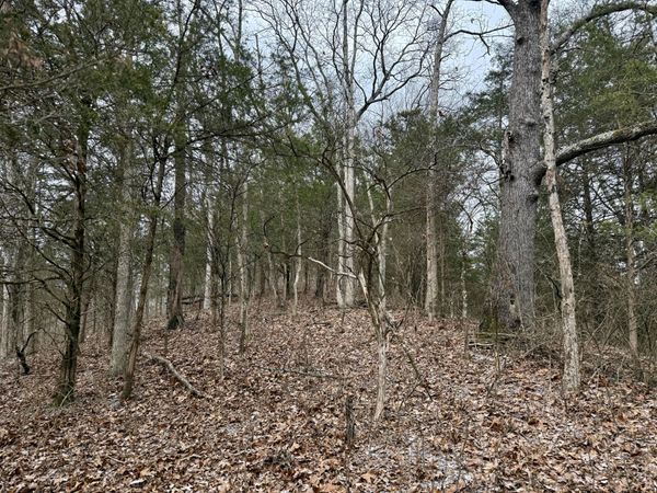 57 +/- Conley Road, Morning View, KY 41063