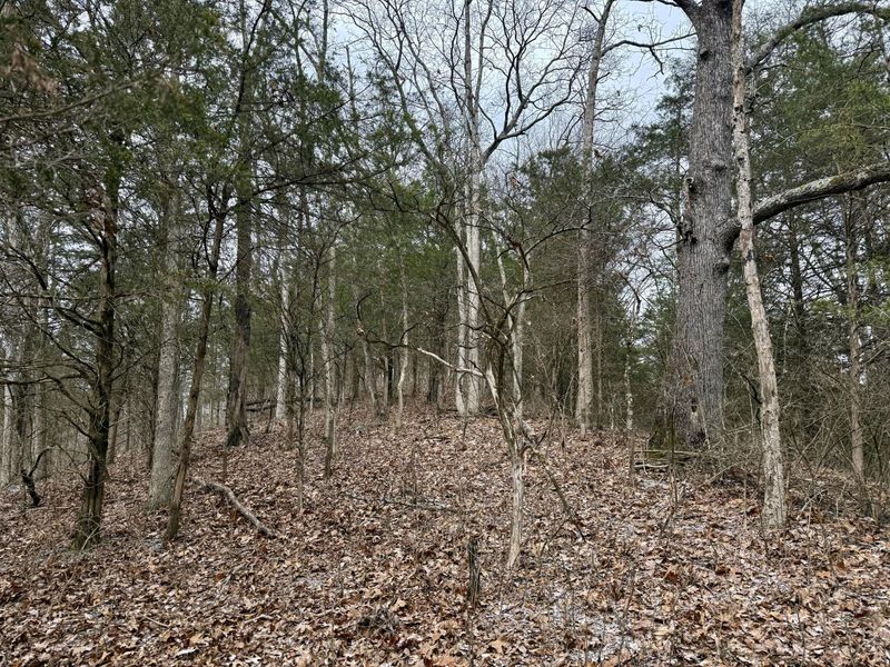 57 +/- Conley Road, Morning View, KY 41063 Photo 1