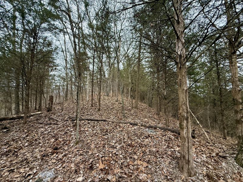 57 +/- Conley Road, Morning View, KY 41063 Photo 14