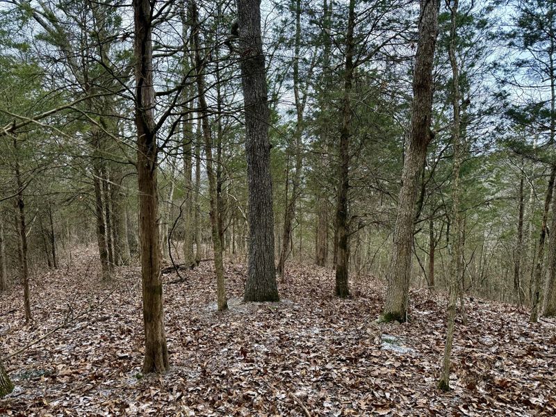 57 +/- Conley Road, Morning View, KY 41063 Photo 19