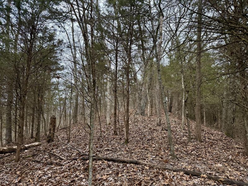 57 +/- Conley Road, Morning View, KY 41063 Photo 24