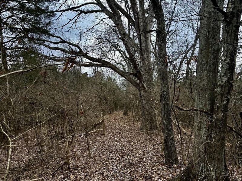 57 +/- Conley Road, Morning View, KY 41063 Photo 38
