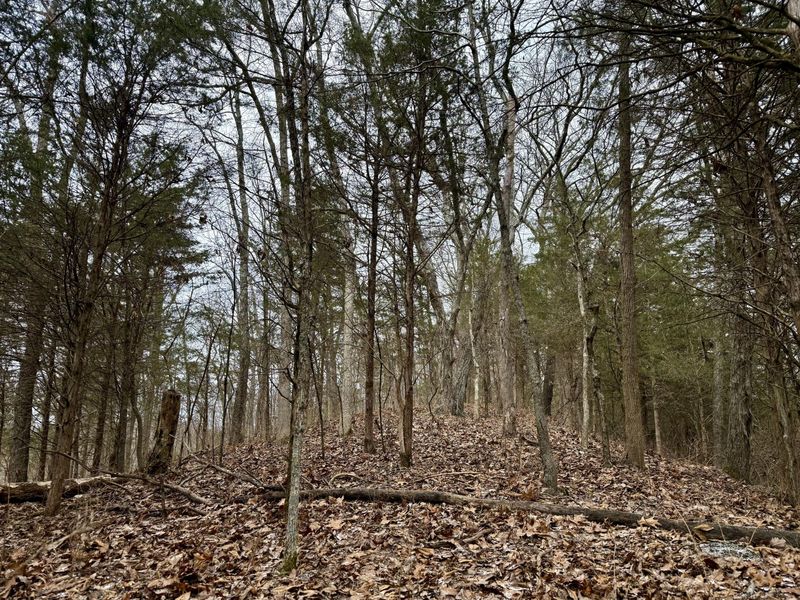 57 +/- Conley Road, Morning View, KY 41063 Photo 39