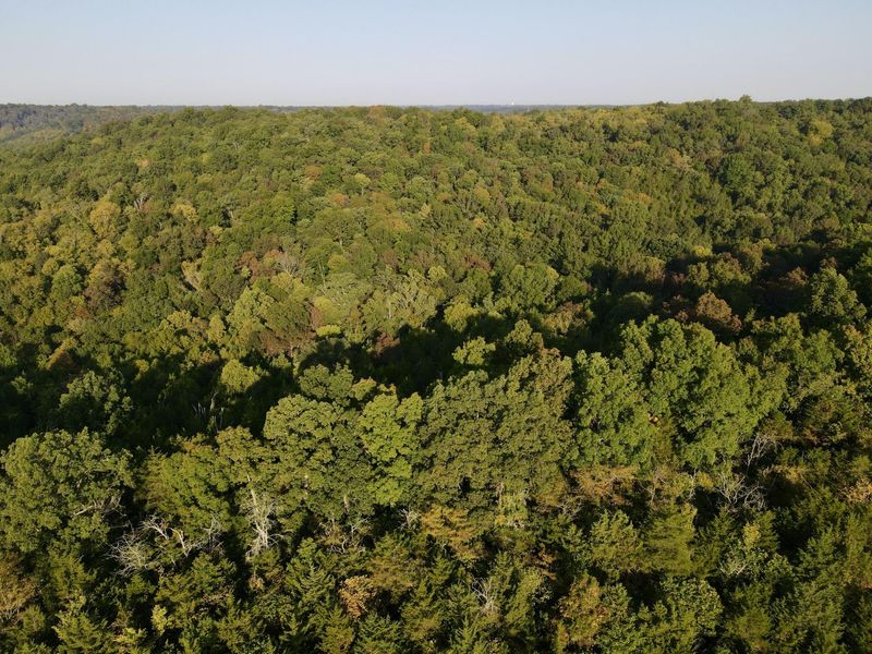 57 +/- Conley Road, Morning View, KY 41063 Photo 44