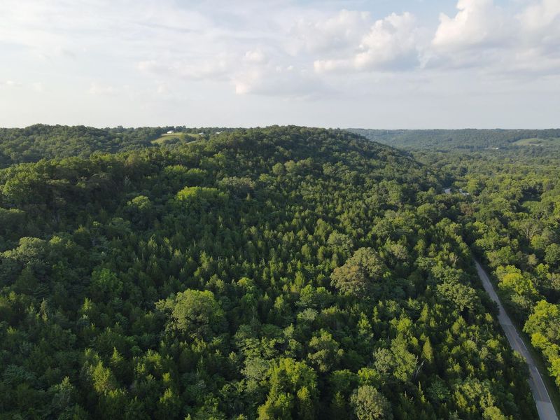 57 +/- Conley Road, Morning View, KY 41063 Photo 5