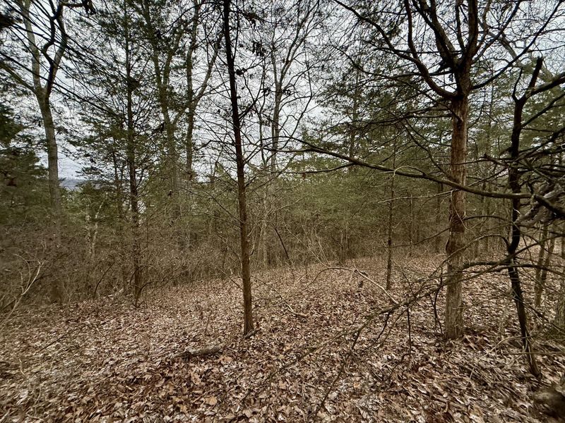 57 +/- Conley Road, Morning View, KY 41063 Photo 9