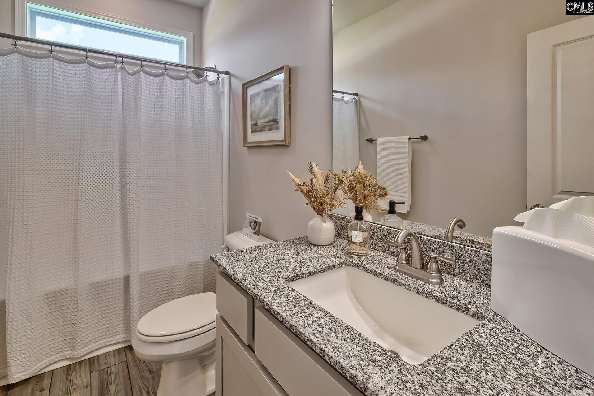 803 Daniel Lake Court  Photo 22