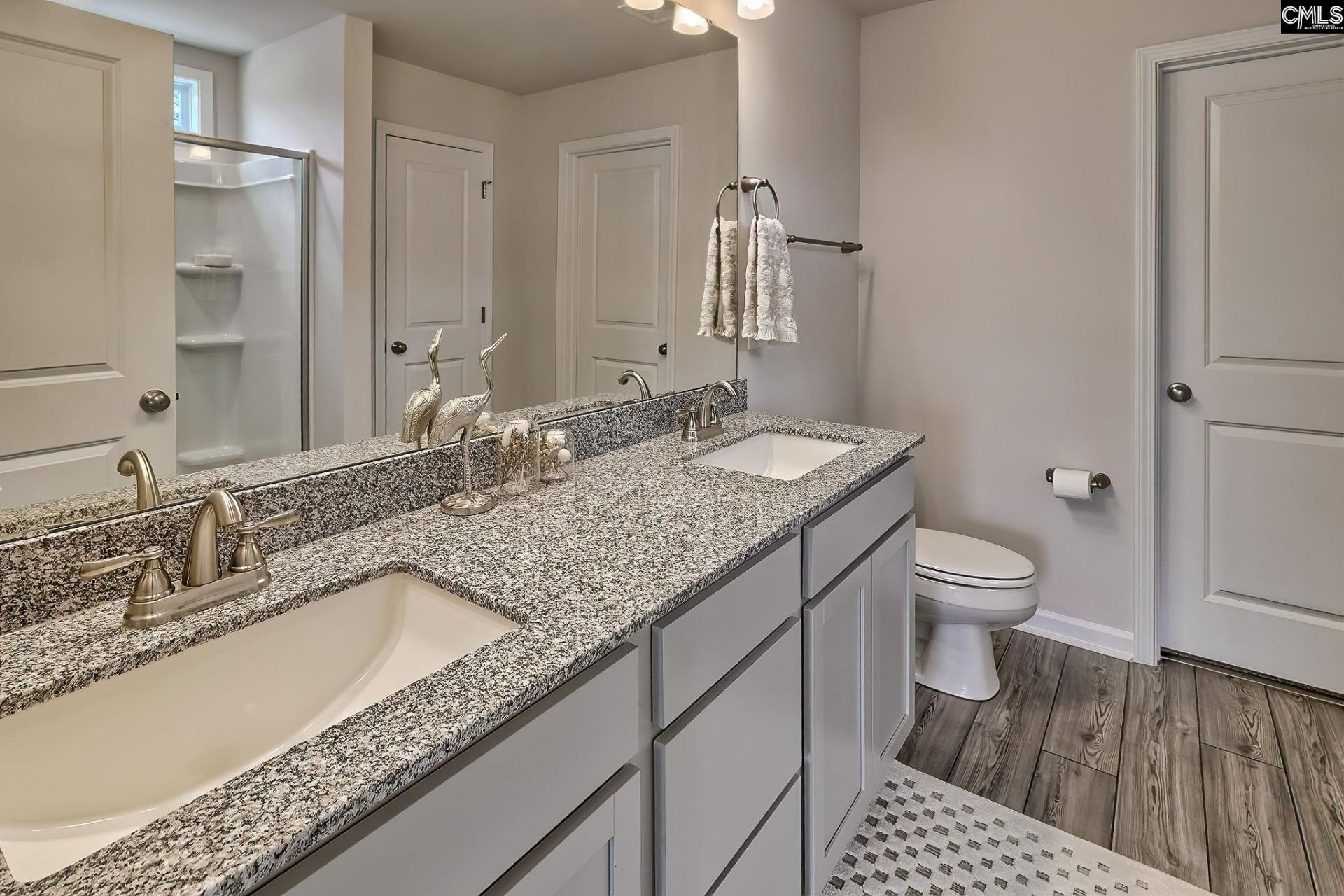 803 Daniel Lake Court  Photo 26
