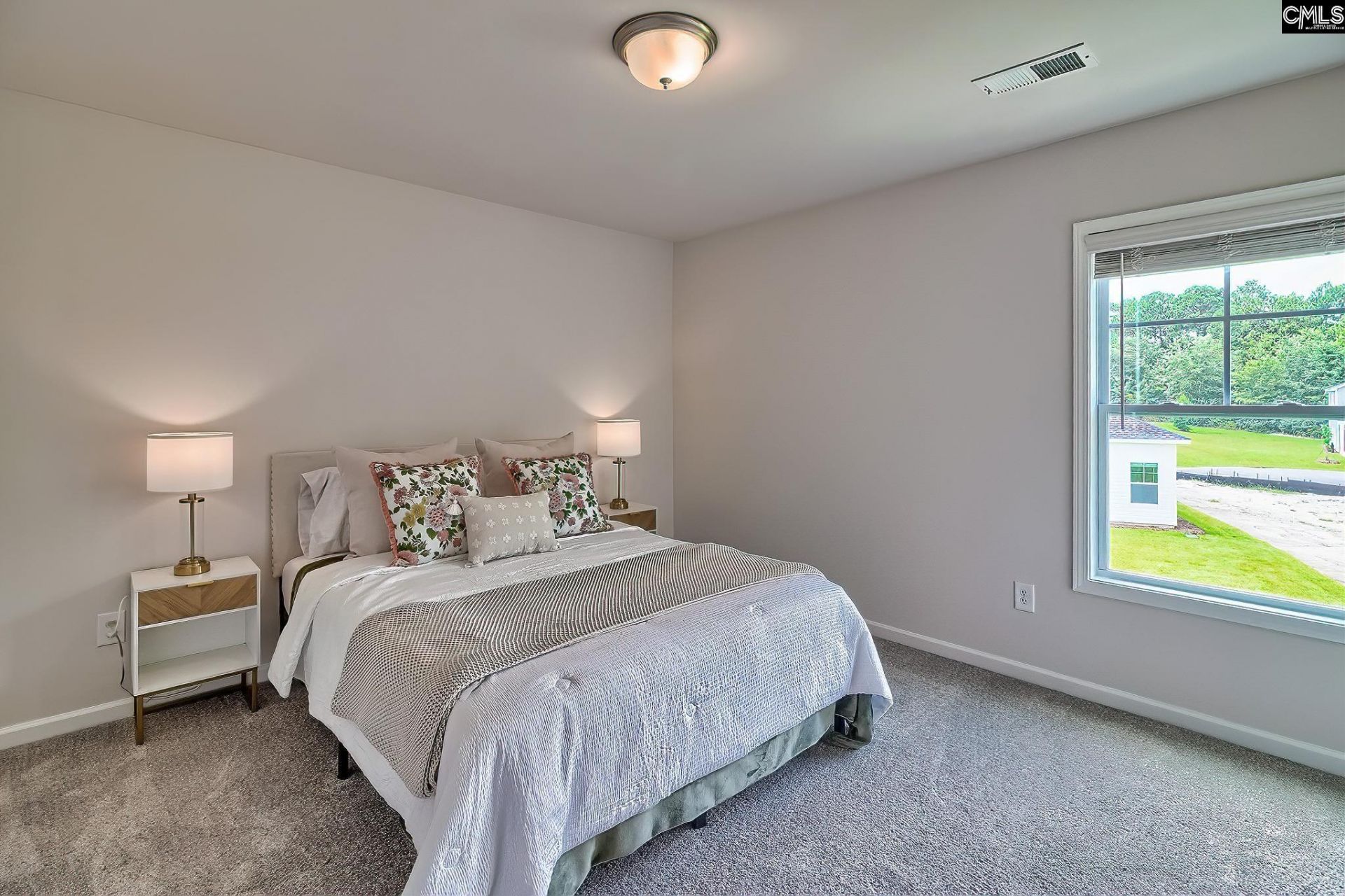 803 Daniel Lake Court  Photo 28