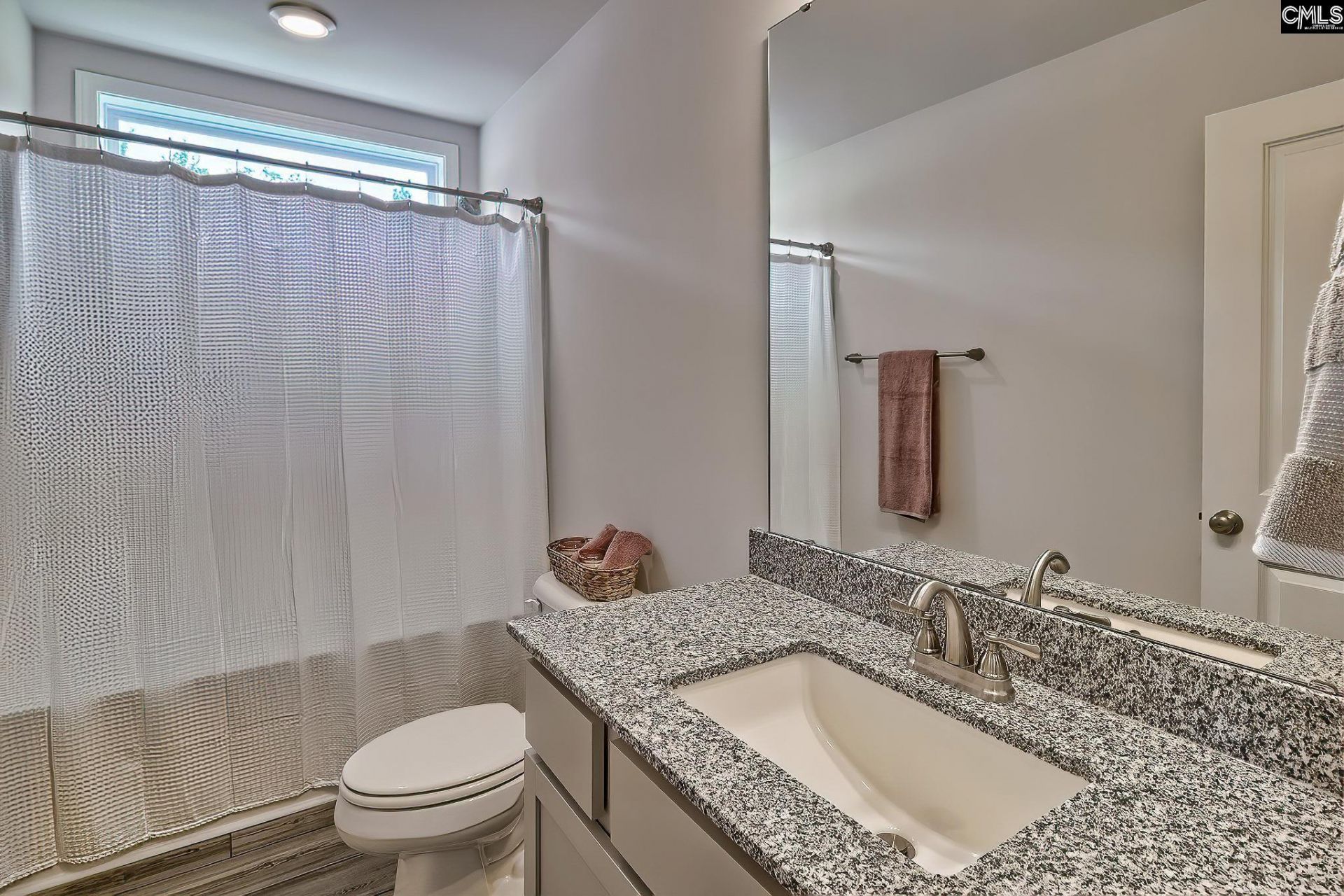 803 Daniel Lake Court  Photo 30