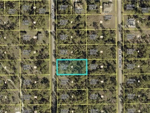 1314 Leroy AVE , LEHIGH ACRES, FL 33972