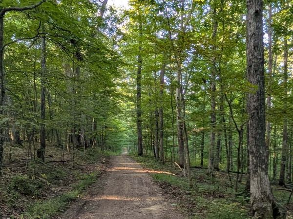 3490 Marlett Road , Nashville, IN 47448