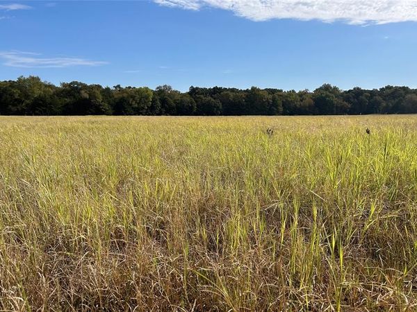 TBD8 County Road 141 , Callisburg, TX 76240