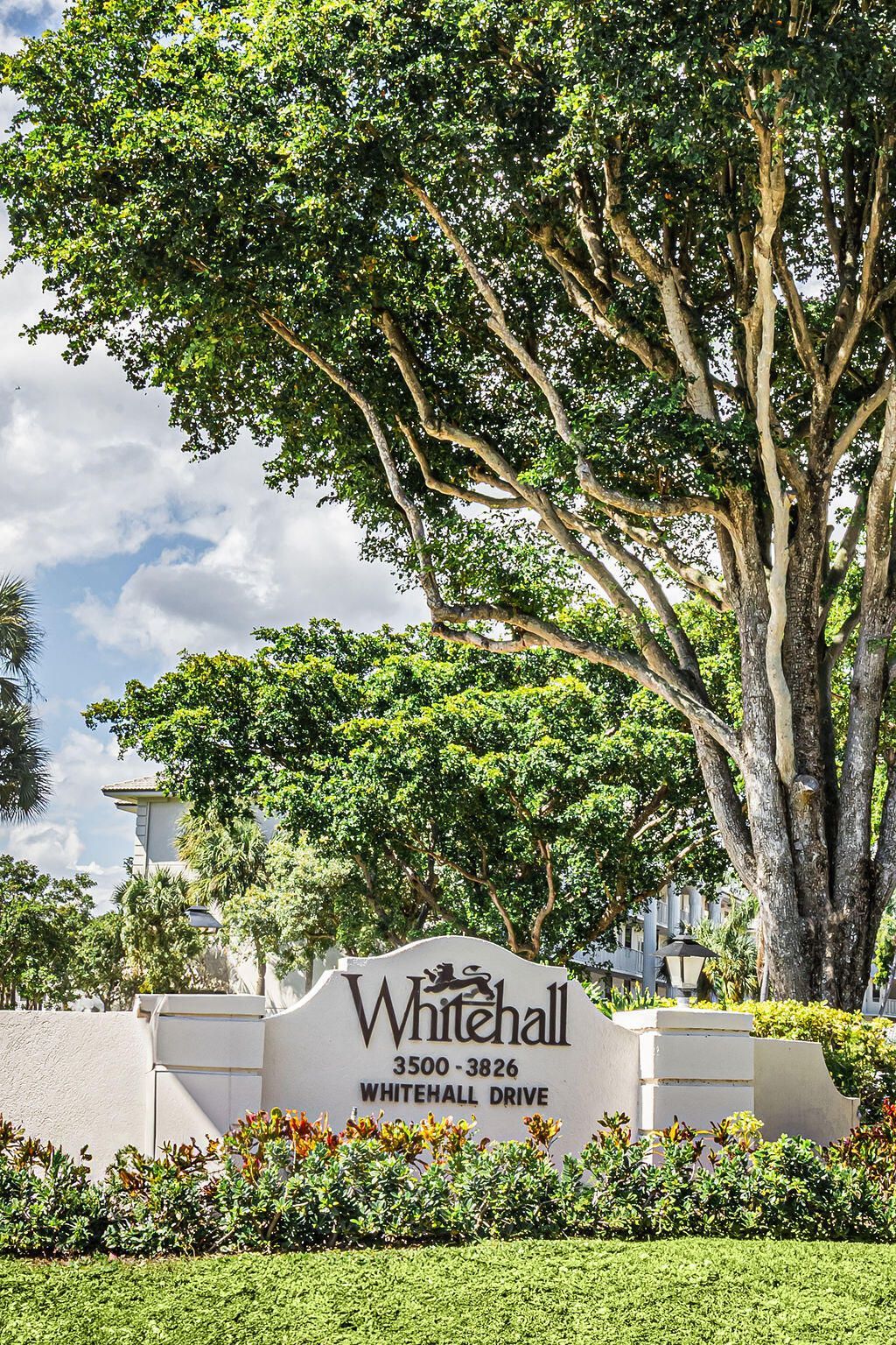3630 Whitehall Drive, Unit 301, West Palm Beach, FL 33401 Photo
