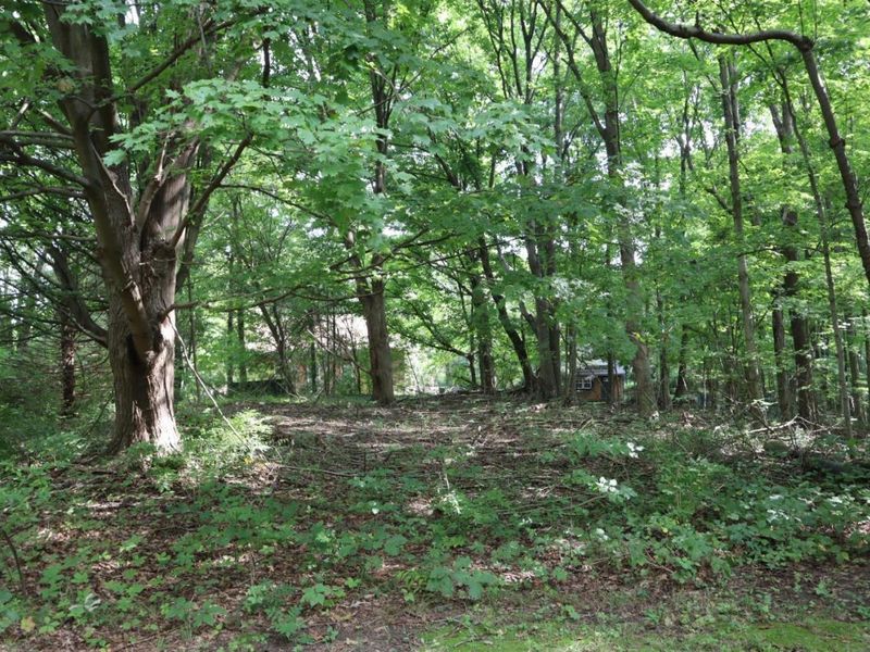 555 St Rt 61 N, Norwalk, OH 44857 Photo 15