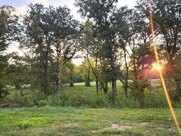 XXX (Tract 02) Wilde Pond , Story, AR 71970