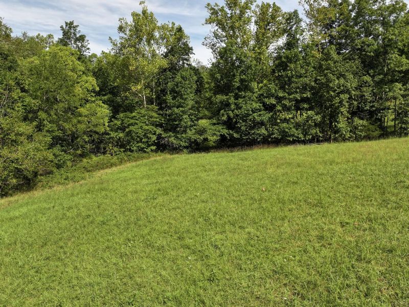 00 Pleasant Grove Road Road, Corinth, KY 41010 Photo 10