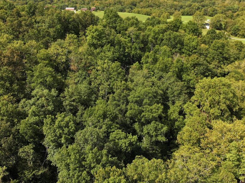 00 Pleasant Grove Road Road, Corinth, KY 41010 Photo 12