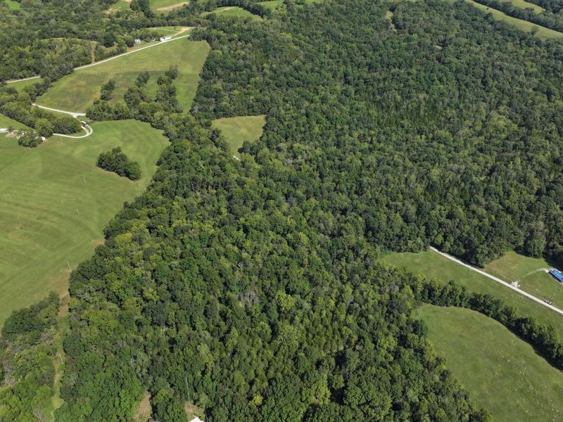 00 Pleasant Grove Road Road, Corinth, KY 41010 Photo 3