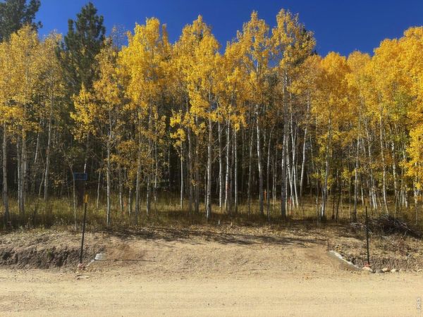 75 Overland Dr, Ward, CO 80481