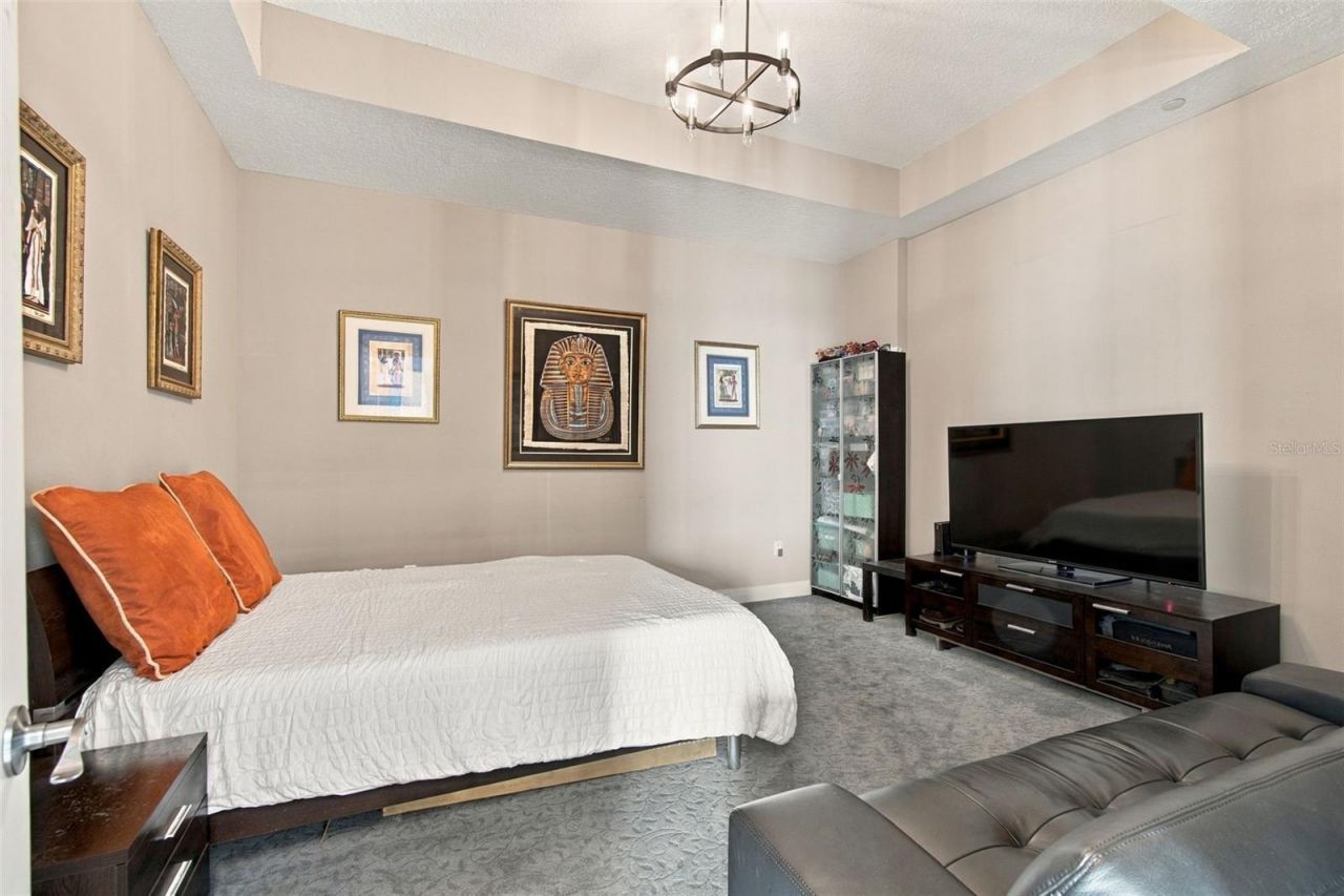 1209 E Cumberland Avenue, Unit 2901, Tampa, FL 33602 Photo