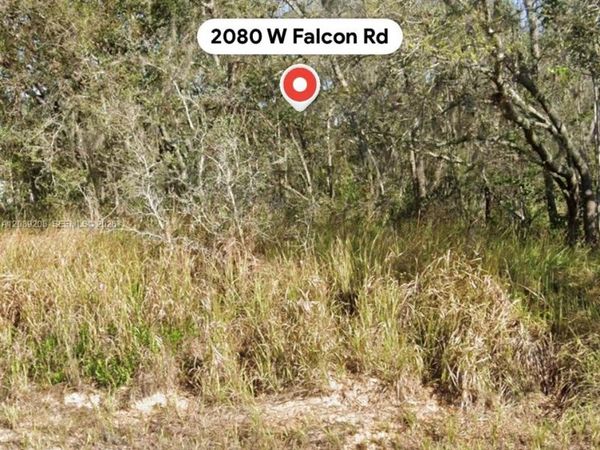 2080 W Falcon Rd , Avon Park, FL 33825