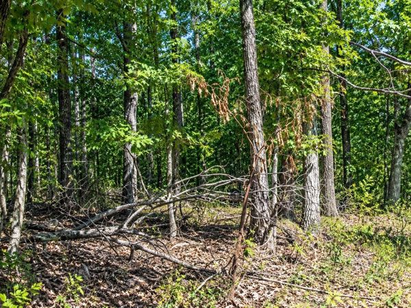 Lot 21 Cooper Point Subdivision, Mountain View, AR 72560