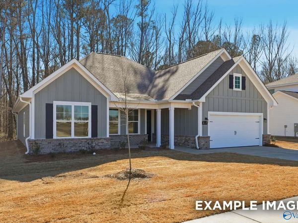 214 Hidden River Drive, Madison, AL 35756