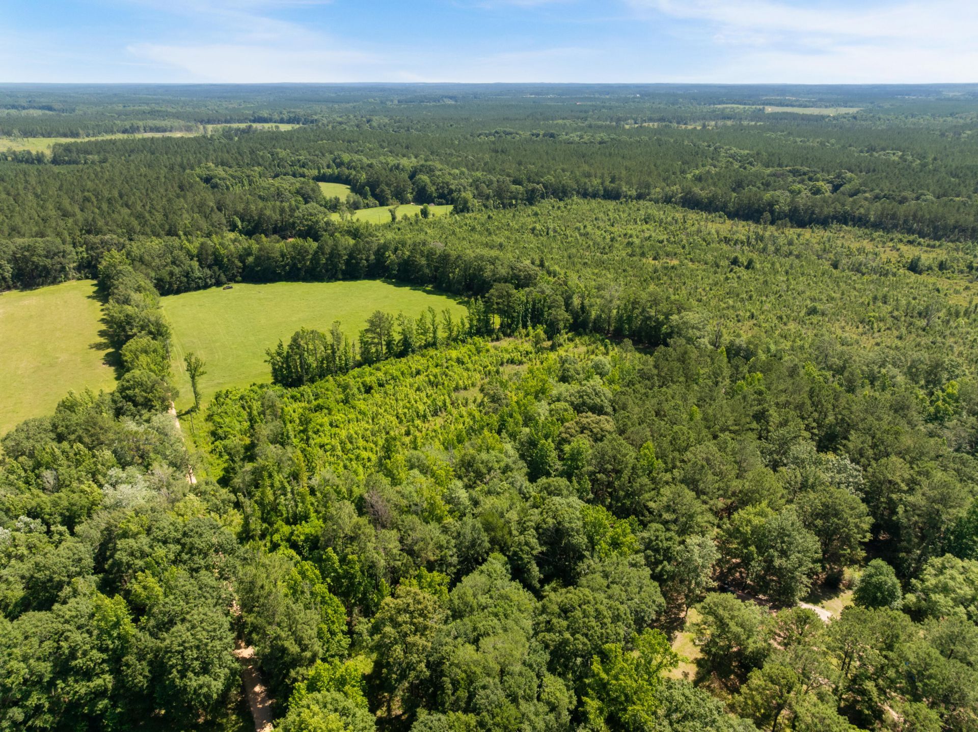 00 Ab Jordan Dr., Richton, MS 39476 Main Photo