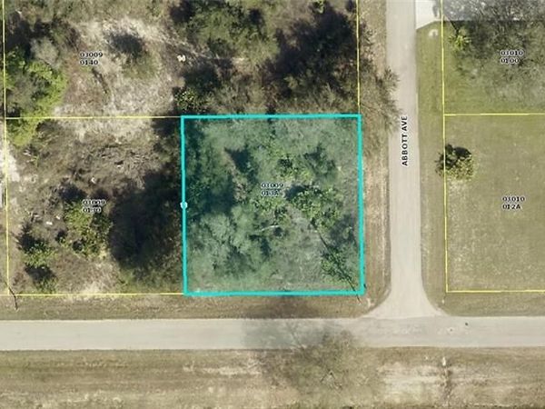 4307 20th ST E, ALVA, FL 33920