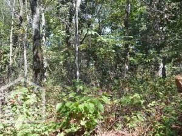 21 Cooper Point, Mountain View, AR 72560