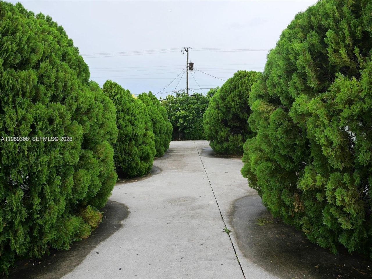 55 W 9th St , Unit 1, Hialeah, FL 33010 Photo