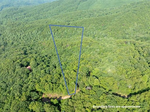 LOT 9 Brushy Top Drive , Chatsworth, GA 30705