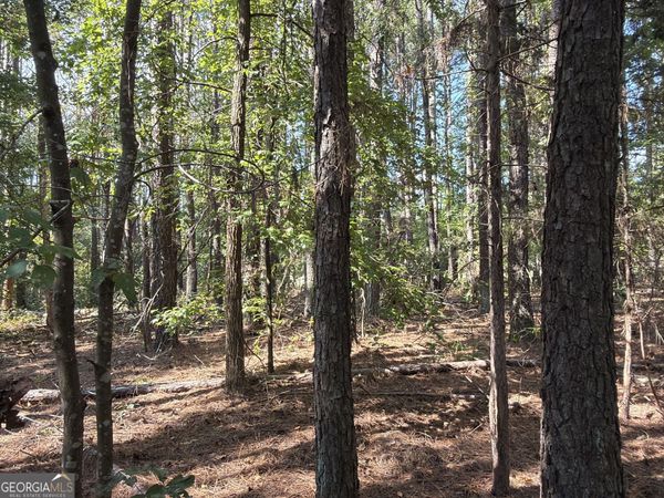 107 Popham Road, Taylorsville, GA 30178