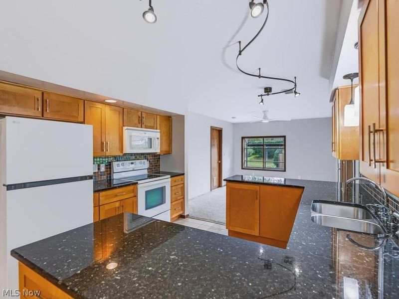 7494 King Memorial Road, Mentor, OH 44060 Photo 18